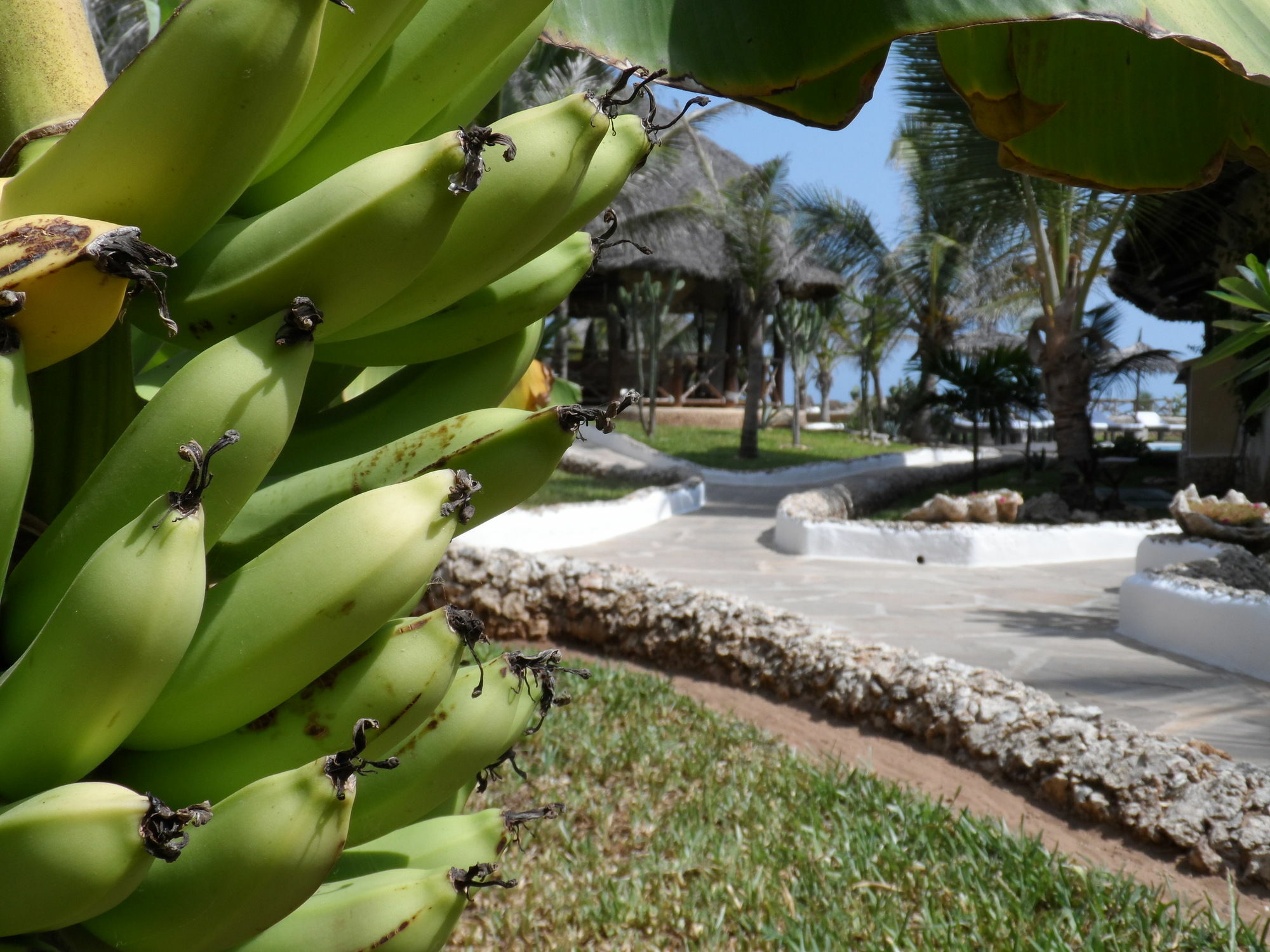 Mawe Resort Watamu Boutique Hotel Extérieur photo